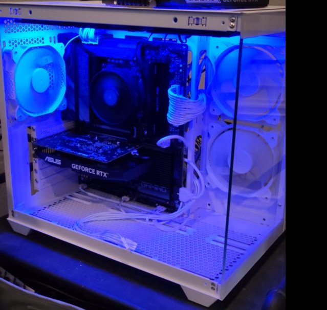 Solid Performer Build